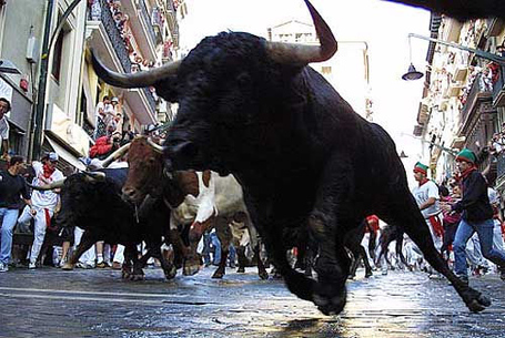 Spain_bull1_medium