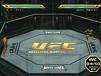 UFC Octagon