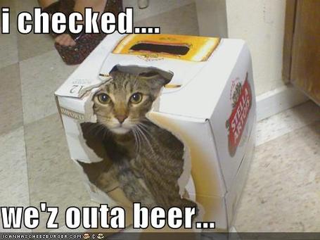 Funny-pictures-cat-informs-you-that-you-are-out-of-beer_medium