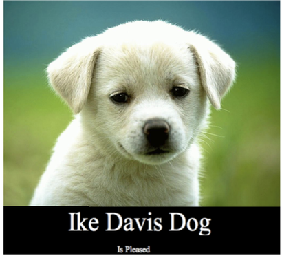 Ike_davis_dog_medium