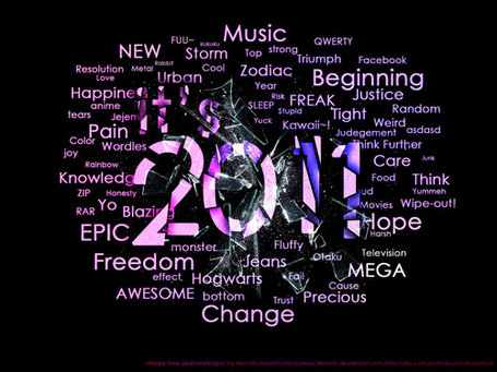 Happy-new-year-2011-wallpapers-15_medium