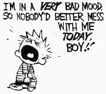 Calvin-bad-mood_medium